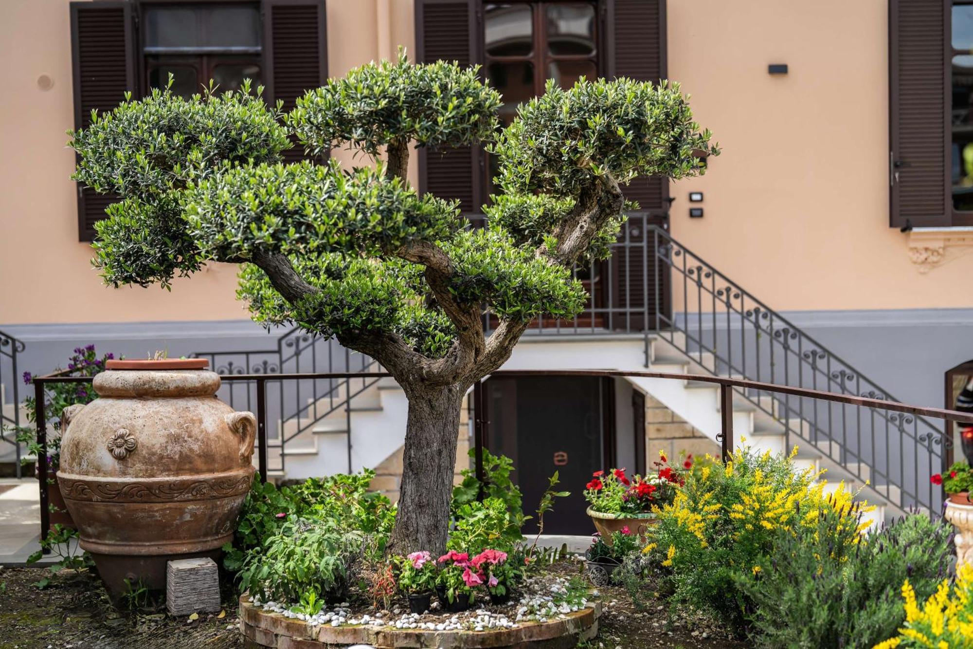 Villa Agostino Luxury B&B Vico Equense Eksteriør billede